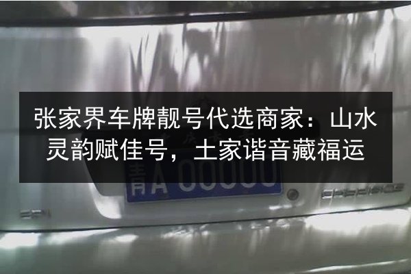 张家界车牌靓号代选商家：山水灵韵赋佳号，土家谐音藏福运 第1张