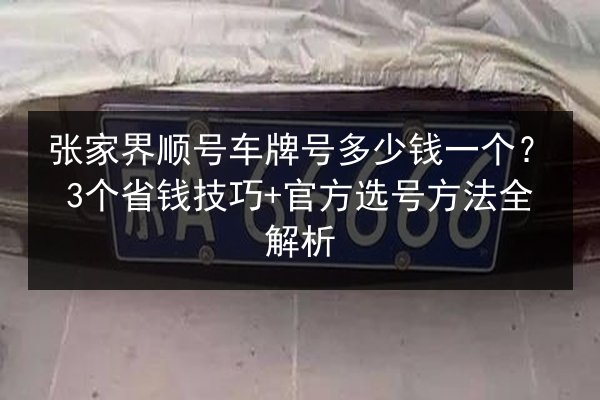 张家界顺号车牌号多少钱一个？3个省钱技巧+官方选号方法全解析 第2张