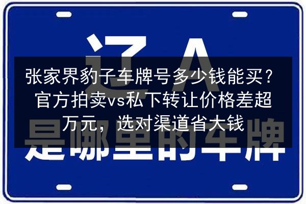 张家界豹子车牌号多少钱能买?官方拍卖vs私下转让价格差超万元,选对渠道省大钱 第2张 张家界豹子车牌号多少钱能买?官方拍卖vs私下转让价格差超万元,选对渠道省大钱 第2张