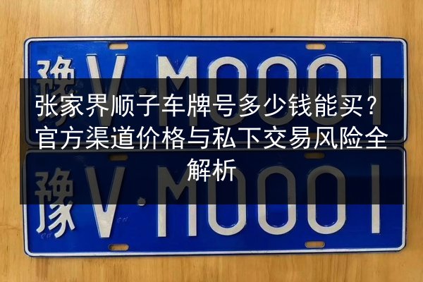 张家界顺子车牌号多少钱能买?官方渠道价格与私下交易风险全解析 第2张 张家界顺子车牌号多少钱能买?官方渠道价格与私下交易风险全解析 第2张