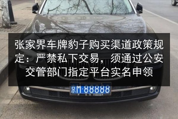 张家界车牌豹子购买渠道政策规定：严禁私下交易，须通过公安交管部门指定平台实名申领 第2张