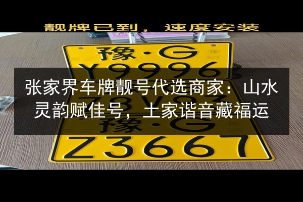 张家界车牌靓号代选商家：山水灵韵赋佳号，土家谐音藏福运 第3张