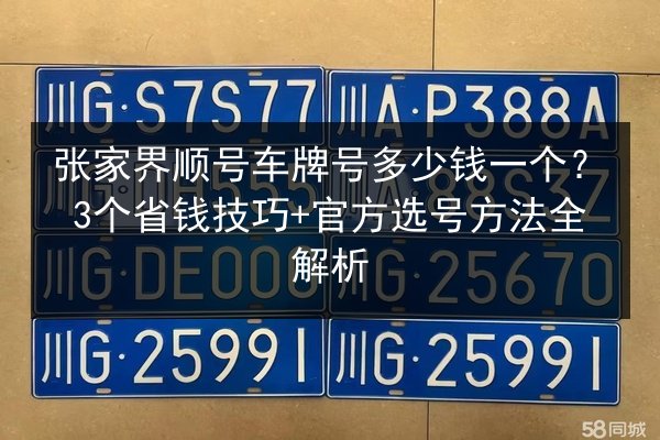 张家界顺号车牌号多少钱一个？3个省钱技巧+官方选号方法全解析 第3张