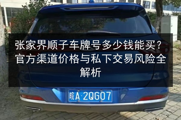张家界顺子车牌号多少钱能买?官方渠道价格与私下交易风险全解析 第3张 张家界顺子车牌号多少钱能买?官方渠道价格与私下交易风险全解析 第3张
