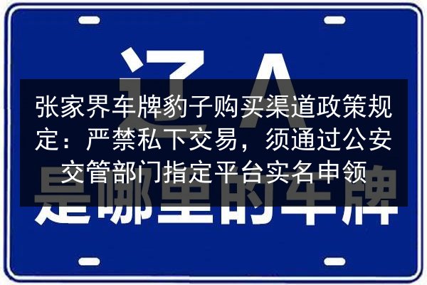 张家界车牌豹子购买渠道政策规定：严禁私下交易，须通过公安交管部门指定平台实名申领 第3张