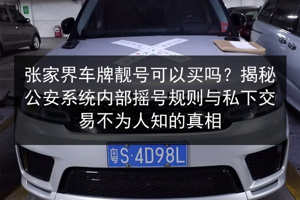 张家界车牌靓号可以买吗?揭秘公安系统内部摇号规则与私下交易不为人知的真相 第3张 张家界车牌靓号可以买吗?揭秘公安系统内部摇号规则与私下交易不为人知的真相 第3张