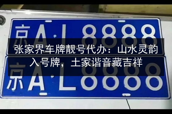 张家界车牌靓号代办：山水灵韵入号牌，土家谐音藏吉祥 第2张
