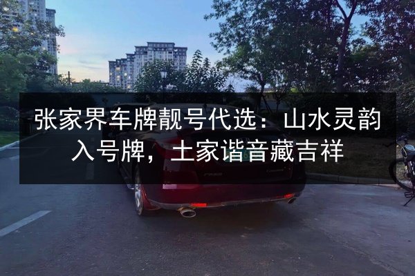 张家界车牌靓号代选:山水灵韵入号牌,土家谐音藏吉祥 第2张 张家界车牌靓号代选:山水灵韵入号牌,土家谐音藏吉祥 第2张