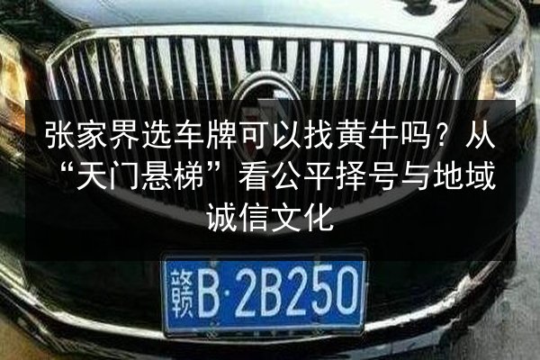 张家界选车牌可以找黄牛吗？从“天门悬梯”看公平择号与地域诚信文化 第2张