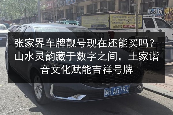 张家界车牌靓号现在还能买吗？山水灵韵藏于数字之间，土家谐音文化赋能吉祥号牌 第2张