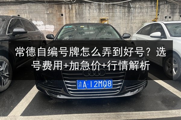 常德自编号牌怎么弄到好号?选号费用+加急价+行情解析 第1张 常德自编号牌怎么弄到好号?选号费用+加急价+行情解析 第1张