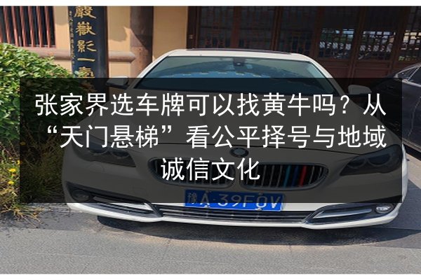 张家界选车牌可以找黄牛吗？从“天门悬梯”看公平择号与地域诚信文化 第3张