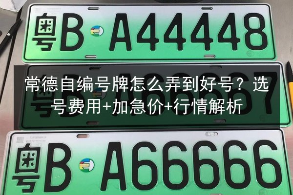 常德自编号牌怎么弄到好号?选号费用+加急价+行情解析 第2张 常德自编号牌怎么弄到好号?选号费用+加急价+行情解析 第2张