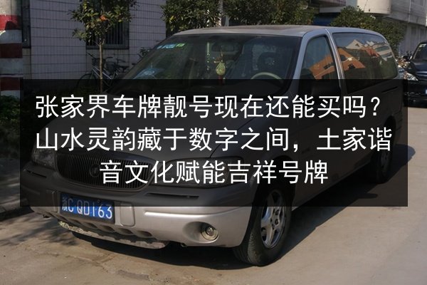 张家界车牌靓号现在还能买吗？山水灵韵藏于数字之间，土家谐音文化赋能吉祥号牌 第3张