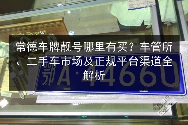 常德车牌靓号哪里有买？车管所、二手车市场及正规平台渠道全解析 第2张