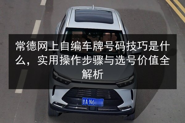 常德网上自编车牌号码技巧是什么,实用操作步骤与选号价值全解析 第3张 常德网上自编车牌号码技巧是什么,实用操作步骤与选号价值全解析 第3张