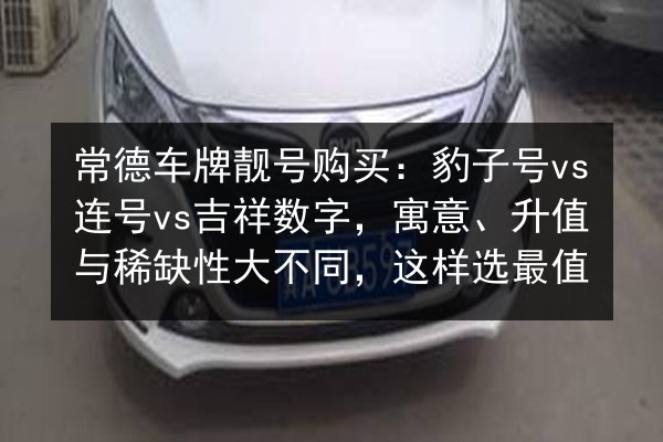 常德车牌靓号购买:豹子号vs连号vs吉祥数字,寓意、升值与稀缺性大不同,这样选最值 第3张 常德车牌靓号购买:豹子号vs连号vs吉祥数字,寓意、升值与稀缺性大不同,这样选最值 第3张