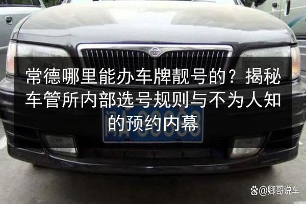 常德哪里能办车牌靓号的?揭秘车管所内部选号规则与不为人知的预约内幕 第2张 常德哪里能办车牌靓号的?揭秘车管所内部选号规则与不为人知的预约内幕 第2张