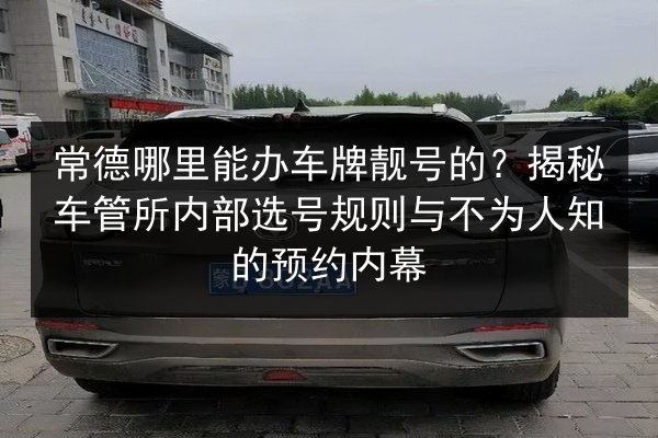 常德哪里能办车牌靓号的?揭秘车管所内部选号规则与不为人知的预约内幕 第3张 常德哪里能办车牌靓号的?揭秘车管所内部选号规则与不为人知的预约内幕 第3张