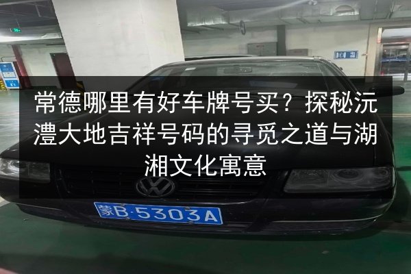 常德哪里有好车牌号买?探秘沅澧大地吉祥号码的寻觅之道与湖湘文化寓意 第3张 常德哪里有好车牌号买?探秘沅澧大地吉祥号码的寻觅之道与湖湘文化寓意 第3张