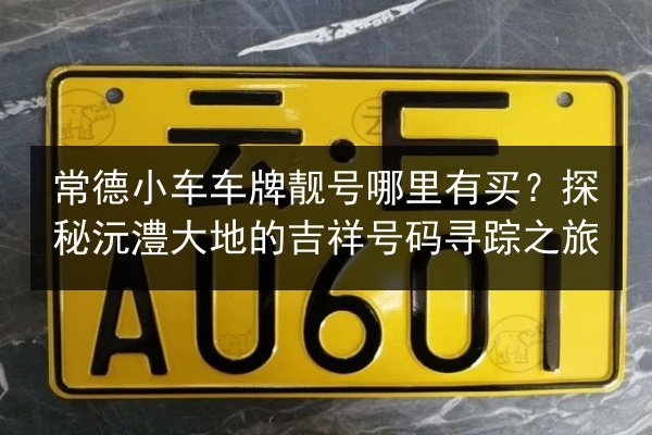 常德小车车牌靓号哪里有买?探秘沅澧大地的吉祥号码寻踪之旅 第3张 常德小车车牌靓号哪里有买?探秘沅澧大地的吉祥号码寻踪之旅 第3张