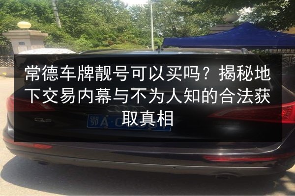 常德车牌靓号可以买吗？揭秘地下交易内幕与不为人知的合法获取真相
