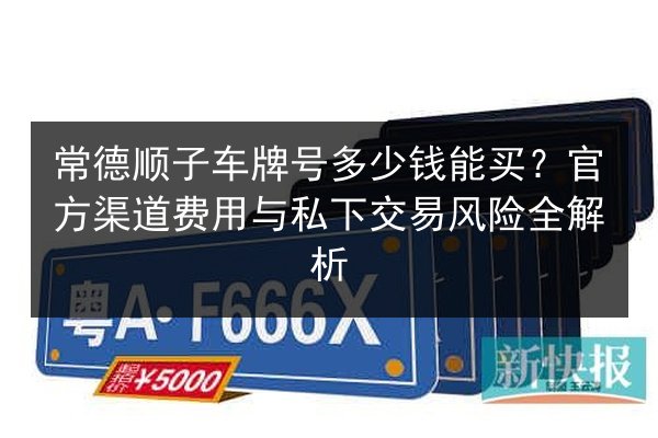 常德顺子车牌号多少钱能买?官方渠道费用与私下交易风险全解析 第2张 常德顺子车牌号多少钱能买?官方渠道费用与私下交易风险全解析 第2张