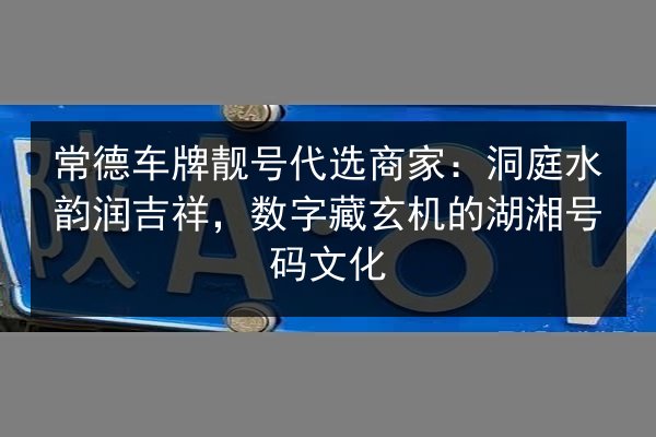 常德车牌靓号代选商家：洞庭水韵润吉祥，数字藏玄机的湖湘号码文化 第2张