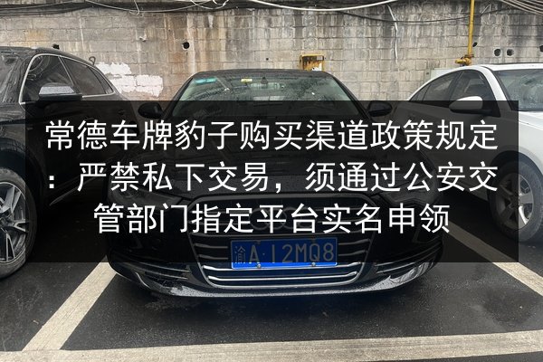 常德车牌豹子购买渠道政策规定:严禁私下交易,须通过公安交管部门指定平台实名申领 第3张 常德车牌豹子购买渠道政策规定:严禁私下交易,须通过公安交管部门指定平台实名申领 第3张
