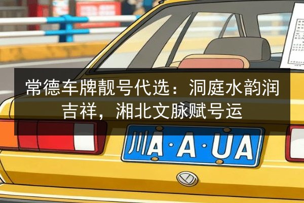 常德车牌靓号代选：洞庭水韵润吉祥，湘北文脉赋号运 第2张
