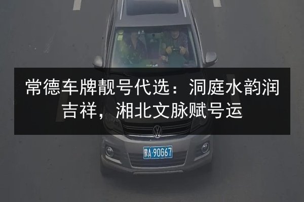 常德车牌靓号代选：洞庭水韵润吉祥，湘北文脉赋号运 第3张