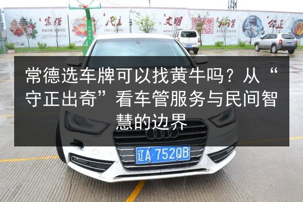 常德选车牌可以找黄牛吗？从“守正出奇”看车管服务与民间智慧的边界 第2张