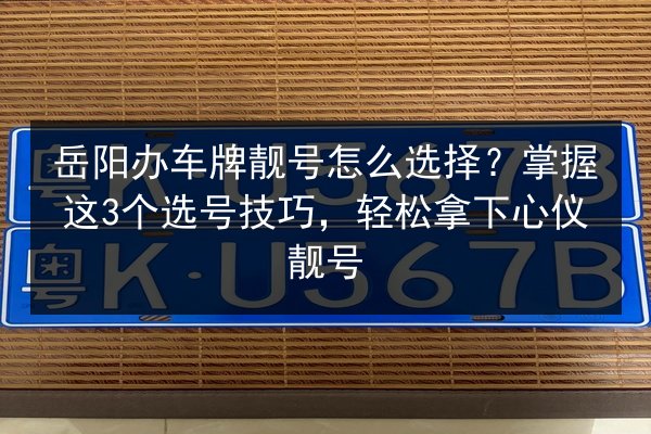 岳阳办车牌靓号怎么选择？掌握这3个选号技巧，轻松拿下心仪靓号
