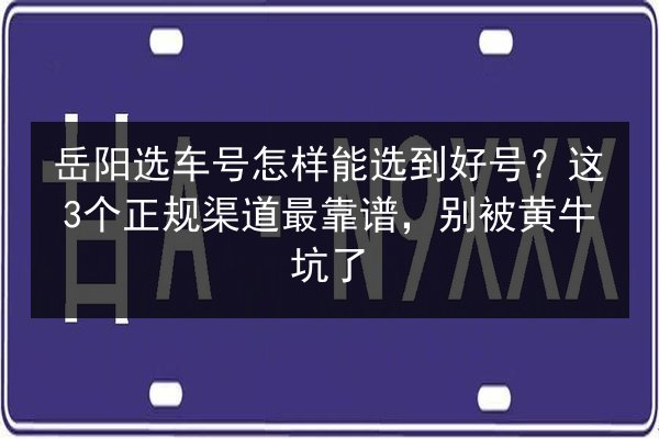 岳阳选车号怎样能选到好号？这3个正规渠道最靠谱，别被黄牛坑了 第2张