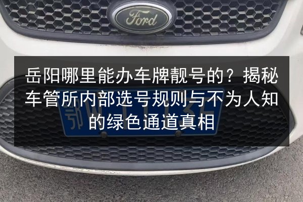 岳阳哪里能办车牌靓号的？揭秘车管所内部选号规则与不为人知的绿色通道真相 第1张