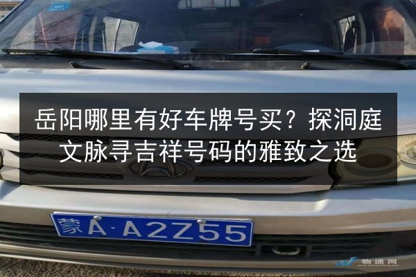岳阳哪里有好车牌号买？探洞庭文脉寻吉祥号码的雅致之选