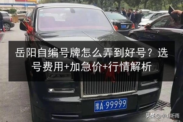 岳阳自编号牌怎么弄到好号？选号费用+加急价+行情解析