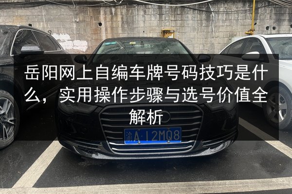 岳阳网上自编车牌号码技巧是什么，实用操作步骤与选号价值全解析 第2张