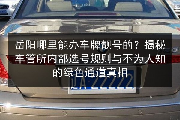 岳阳哪里能办车牌靓号的？揭秘车管所内部选号规则与不为人知的绿色通道真相 第2张