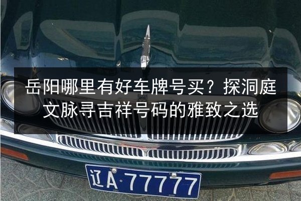 岳阳哪里有好车牌号买？探洞庭文脉寻吉祥号码的雅致之选 第2张