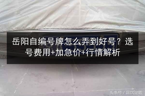 岳阳自编号牌怎么弄到好号？选号费用+加急价+行情解析 第2张
