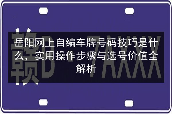 岳阳网上自编车牌号码技巧是什么，实用操作步骤与选号价值全解析 第3张