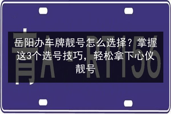 岳阳办车牌靓号怎么选择？掌握这3个选号技巧，轻松拿下心仪靓号 第3张