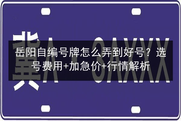 岳阳自编号牌怎么弄到好号？选号费用+加急价+行情解析 第3张