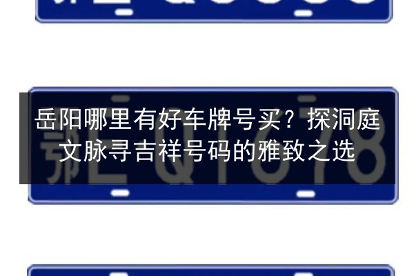 岳阳哪里有好车牌号买？探洞庭文脉寻吉祥号码的雅致之选 第3张