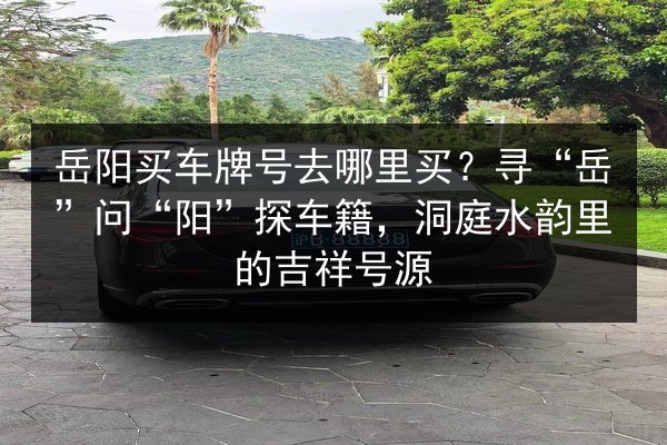 岳阳买车牌号去哪里买?寻“岳”问“阳”探车籍,洞庭水韵里的吉祥号源 第2张 岳阳买车牌号去哪里买?寻“岳”问“阳”探车籍,洞庭水韵里的吉祥号源 第2张