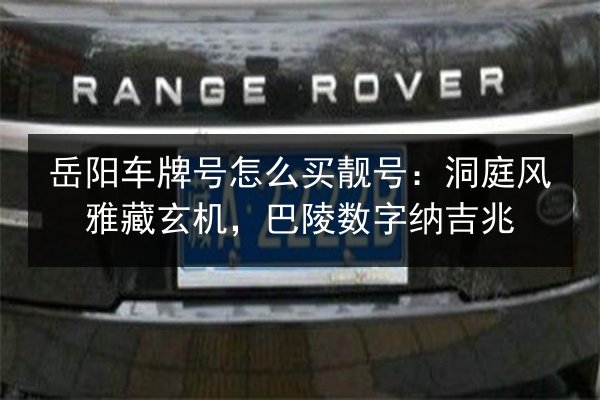 岳阳车牌号怎么买靓号：洞庭风雅藏玄机，巴陵数字纳吉兆 第2张