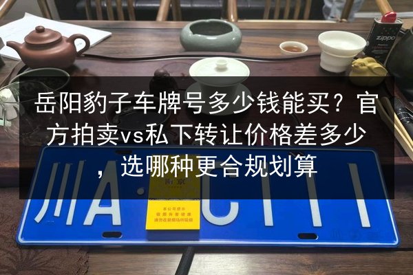 岳阳豹子车牌号多少钱能买？官方拍卖vs私下转让价格差多少，选哪种更合规划算 第2张