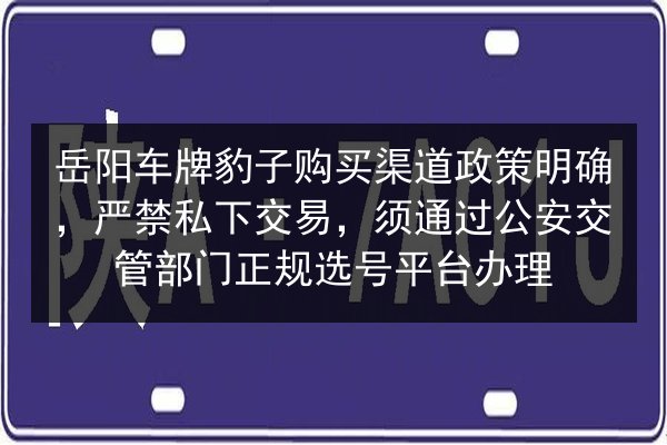 岳阳车牌豹子购买渠道政策明确，严禁私下交易，须通过公安交管部门正规选号平台办理 第2张