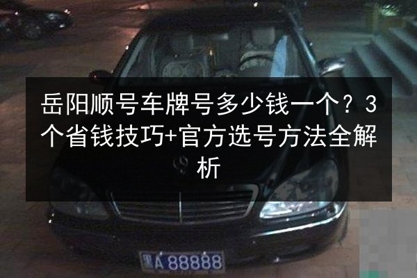 岳阳顺号车牌号多少钱一个？3个省钱技巧+官方选号方法全解析 第2张